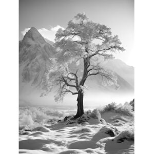 Artery8 Frozen Tree in Snowy Mountain Landscape Bright Black and White Photograph Winter Sunrise Crisp Morning Light Extra Large XL Wall Art Poster Print Artery8 Frozen Tree in Snowy Mountain Landscape Bright Black and White Photograph Winter Sunrise Crisp Morning Light Extra Large XL Wall Art Poster Print