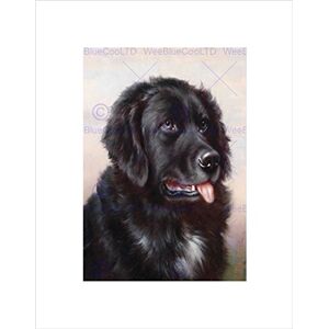 Wee Blue Coo Painting Animal Reichert Newfoundland Dog Hound Wall Art Print Wee Blue Coo Painting Animal Reichert Newfoundland Dog Hound Wall Art Print