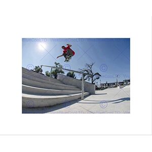 Wee Blue Coo Skate Boarding Challenge Flying Stair Picture Wall Art Print Wee Blue Coo Skate Boarding Challenge Flying Stair Picture Wall Art Print