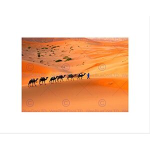Wee Blue Coo Camel Caravan Train Desert Sand Nomad Picture Wall Art Print Wee Blue Coo Camel Caravan Train Desert Sand Nomad Picture Wall Art Print