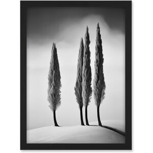 Artery8 Group of Cypress Trees on Snowy Hill Minimalist Black and White Photograph Cypresses in Foggy Winter Landscape Artwork Framed A3 Wall Art Print Artery8 Group of Cypress Trees on Snowy Hill Minimalist Black and White Photograph Cypresses in Foggy Winter Landscape Artwork Framed A3 Wall Art Print