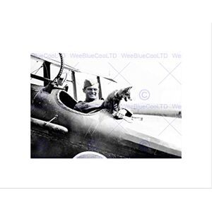 Wee Blue Coo Vintage Pilot Fox Aeroplane Cool Cute Aviation USA Wall Art Print Wee Blue Coo Vintage Pilot Fox Aeroplane Cool Cute Aviation USA Wall Art Print