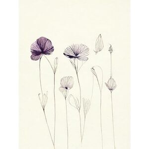 Doppelganger33 LTD Stylish Minimalist Flower Illustration Line Drawing with Purple Ink Large Wall Art Poster Print Thick Paper 18X24 inch Doppelganger33 LTD Stylish Minimalist Flower Illustration Line Drawing with Purple Ink Large Wall Art Poster Print Thick Paper 18X24 inch