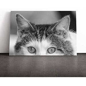 Big Box Art Cat Eyes (14) Canvas Print Gallery Wrapped 30mm Frame Wall Art 24x16 inches Ready to Hang Modern Animals Picture Living Room Bedroom Lounge Office Big Box Art Cat Eyes (14) Canvas Print Gallery Wrapped 30mm Frame Wall Art 24x16 inches Ready to Hang Modern Animals Picture Living Room Bedroom Lounge Office