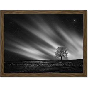 Fine Art Prints Lone Tree Landscape Aurora Black White Large Framed Art Print Poster Wall Decor 18x24 inch Fine Art Prints Lone Tree Landscape Aurora Black White Large Framed Art Print Poster Wall Decor 18x24 inch