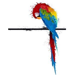 Wee Blue Coo Dt Paint Splat Parrot Bird Wood Frame Picture Wall Art Print Wee Blue Coo Dt Paint Splat Parrot Bird Wood Frame Picture Wall Art Print