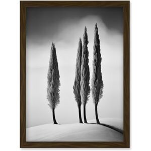 Artery8 Group of Cypress Trees on Snowy Hill Minimalist Black and White Photograph Cypresses in Foggy Winter Landscape Artwork Framed Wall Art Print A4 Artery8 Group of Cypress Trees on Snowy Hill Minimalist Black and White Photograph Cypresses in Foggy Winter Landscape Artwork Framed Wall Art Print A4