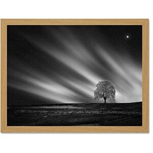 Fine Art Prints Lone Tree Landscape Aurora Black White Large Framed Art Print Poster Wall Decor 18x24 inch Fine Art Prints Lone Tree Landscape Aurora Black White Large Framed Art Print Poster Wall Decor 18x24 inch