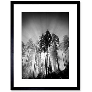 Wee Blue Coo Trees Light Fog Black White Art Framed Wall Art Print Wee Blue Coo Trees Light Fog Black White Art Framed Wall Art Print