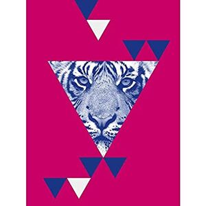 Wee Blue Coo Triangular Tiger Abstract Unframed Art Print Poster Wall Decor 12x16 inch Wee Blue Coo Triangular Tiger Abstract Unframed Art Print Poster Wall Decor 12x16 inch