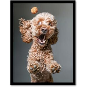 Artery8 Funny Cockapoo Dog Lover Treat Catch Photo For Living Room Artwork Framed Wall Art Print 18X24 Inch Artery8 Funny Cockapoo Dog Lover Treat Catch Photo For Living Room Artwork Framed Wall Art Print 18X24 Inch