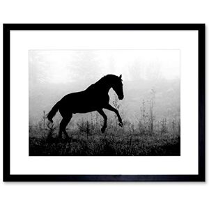 Wee Blue Coo PHOTO NATURE ANIMAL HORSE SILHOUETTE BLACK WHITE MISTY COOL ART PRINT B12X8433 Wee Blue Coo PHOTO NATURE ANIMAL HORSE SILHOUETTE BLACK WHITE MISTY COOL ART PRINT B12X8433