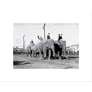 Wee Blue Coo Circus Vintage Brockton USA Elephant Ride Clown Wall Art Print Wee Blue Coo Circus Vintage Brockton USA Elephant Ride Clown Wall Art Print