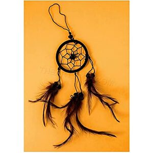 Wee Blue Coo Photo Composition Native American Dream Catcher Wall Art Print Wee Blue Coo Photo Composition Native American Dream Catcher Wall Art Print