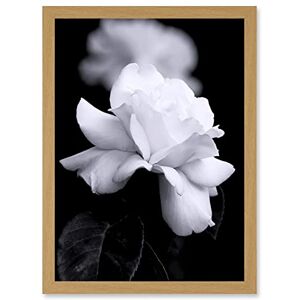Artery8 - Nature - A4 - Framed - Wall Art Print Artery8 - Nature - A4 - Framed - Wall Art Print