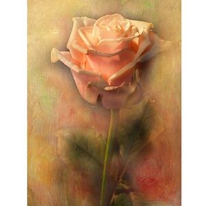 Wee Blue Coo Dusty Pink Rose Vintage Grunge Flower Photo Art Large Art Print Poster Wall Decor 18x24 inch Wee Blue Coo Dusty Pink Rose Vintage Grunge Flower Photo Art Large Art Print Poster Wall Decor 18x24 inch