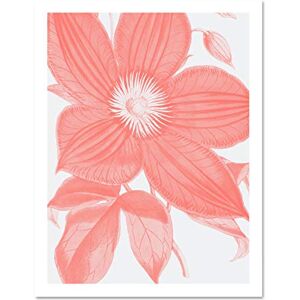 Wee Blue Coo Living Coral Clematis Flower Large White Framed Art Print Wall Poster 18x24 inch Wee Blue Coo Living Coral Clematis Flower Large White Framed Art Print Wall Poster 18x24 inch