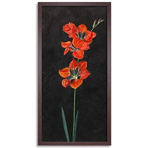 Artery8 Hoffmann Lily Red Flowers Nature Painting Framed Wall Art Print Long 25X12 Inch Artery8 Hoffmann Lily Red Flowers Nature Painting Framed Wall Art Print Long 25X12 Inch