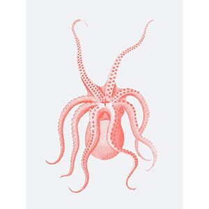 Wee Blue Coo Living Coral Octopus Upside Down Large Wall Art Print Canvas Premium Poster Wee Blue Coo Living Coral Octopus Upside Down Large Wall Art Print Canvas Premium Poster