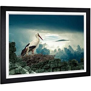 Big Box Art Framed Print of Stork Birds Nest Design Wall Art Picture Home Decor for Kitchen, Living, Dining Room, Lounge, Bedroom, Hallway, Office, Black, A2 / 24.5x18 Inch / 62x45cm Big Box Art Framed Print of Stork Birds Nest Design Wall Art Picture Home Decor for Kitchen, Living, Dining Room, Lounge, Bedroom, Hallway, Office, Black, A2 / 24.5x18 Inch / 62x45cm