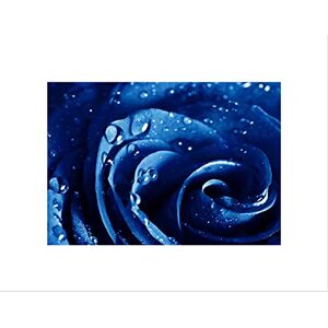 Wee Blue Coo NATURE PLANT BLUE ROSE WATER DROP COOL BLACK FRAMED ART PRINT B12X4282 Wee Blue Coo NATURE PLANT BLUE ROSE WATER DROP COOL BLACK FRAMED ART PRINT B12X4282