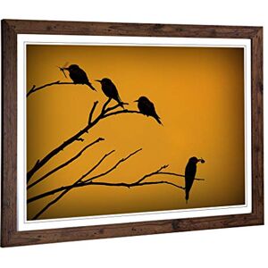 Big Box Art Framed Print of Birds on The Branch of a Tree Design Wall Art Picture Home Decor for Kitchen, Living, Dining Room, Bedroom, Hallway, Office, Walnut, A2 / 24.5x18 Inch / 62x45cm Big Box Art Framed Print of Birds on The Branch of a Tree Design Wall Art Picture Home Decor for Kitchen, Living, Dining Room, Bedroom, Hallway, Office, Walnut, A2 / 24.5x18 Inch / 62x45cm