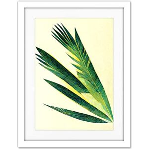 Doppelganger33 LTD Fan Palm Tree Leaf Modern Abstract Illustration Artwork Framed Wall Art Print 18X24 Inch Doppelganger33 LTD Fan Palm Tree Leaf Modern Abstract Illustration Artwork Framed Wall Art Print 18X24 Inch