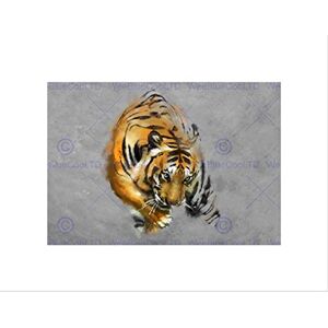 Wee Blue Coo Paint Drawing Animal Big Cat Tiger Stripes Predator Mist Wall Art Print Wee Blue Coo Paint Drawing Animal Big Cat Tiger Stripes Predator Mist Wall Art Print