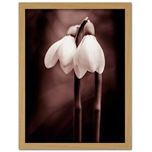 Wee Blue Coo Two Snowdrops Flowers Artwork Framed Wall Art Print 18X24 Inch Wee Blue Coo Two Snowdrops Flowers Artwork Framed Wall Art Print 18X24 Inch