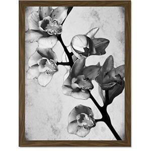 Wee Blue Coo Nature Flower Plant Orchid Black White Large Framed Art Print Poster Wall Decor 18x24 inch Wee Blue Coo Nature Flower Plant Orchid Black White Large Framed Art Print Poster Wall Decor 18x24 inch