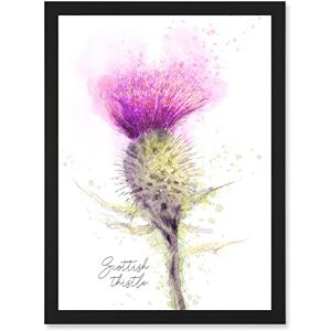 Wee Blue Coo Scottish Thistle Flower Head Watercolour Scotland A4 Artwork Framed Wall Art Print Wee Blue Coo Scottish Thistle Flower Head Watercolour Scotland A4 Artwork Framed Wall Art Print