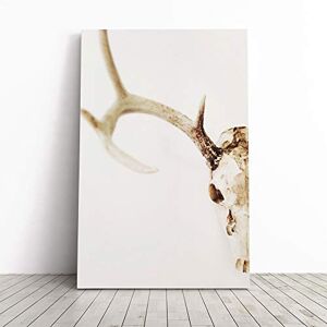 Big Box Art Stag Skull Canvas Print Gallery Wrapped 30mm Frame Wall Art 20x14 inches Ready to Hang Modern Animals Picture Living Room Bedroom Lounge Office Big Box Art Stag Skull Canvas Print Gallery Wrapped 30mm Frame Wall Art 20x14 inches Ready to Hang Modern Animals Picture Living Room Bedroom Lounge Office