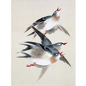 Wee Blue Coo Okamoto Birds Japanese Premium Wall Art Canvas Print 18X24 Inch Wee Blue Coo Okamoto Birds Japanese Premium Wall Art Canvas Print 18X24 Inch
