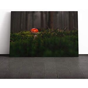 Big Box Art Canvas Print Wall Art Landscape Forest Red Mushroom Mounted and Stretched Box Frame Picture Home Decor for Kitchen, Living, Dining Room, Bedroom, Hallway, Multi-Colour, 20x14 Inch Big Box Art Canvas Print Wall Art Landscape Forest Red Mushroom Mounted and Stretched Box Frame Picture Home Decor for Kitchen, Living, Dining Room, Bedroom, Hallway, Multi-Colour, 20x14 Inch