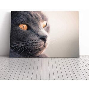 Big Box Art British Shorthair Cat Vol.5 Canvas Print Gallery Wrapped 30mm Frame Wall Art 30x20 inches Ready to Hang Modern Animals Picture Living Room Bedroom Lounge Office Big Box Art British Shorthair Cat Vol.5 Canvas Print Gallery Wrapped 30mm Frame Wall Art 30x20 inches Ready to Hang Modern Animals Picture Living Room Bedroom Lounge Office