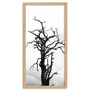 Artery8 Lone Dead Tree Silhouette Black White Framed Wall Art Print Long 25X12 Inch Artery8 Lone Dead Tree Silhouette Black White Framed Wall Art Print Long 25X12 Inch