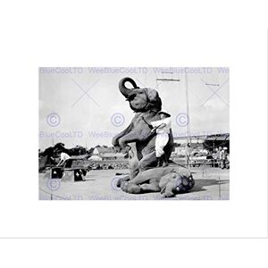 Wee Blue Coo VINTAGE CIRCUS ELEPHANT TRAINER STUNT WEIRD USA FRAMED ART PRINT MOUNT B12X3450 Wee Blue Coo VINTAGE CIRCUS ELEPHANT TRAINER STUNT WEIRD USA FRAMED ART PRINT MOUNT B12X3450