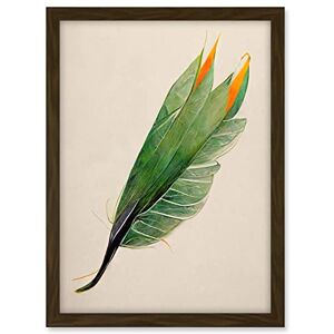 Wee Blue Coo Tropical Bird of Paradise Leaf Botanical Illustration Artwork Framed A3 Wall Art Print Wee Blue Coo Tropical Bird of Paradise Leaf Botanical Illustration Artwork Framed A3 Wall Art Print
