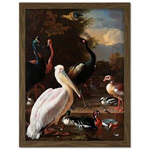 Artery8 Hondecoeter Pelican Birds Pool Floating Feather Artwork Framed Wall Art Print 18X24 Inch Artery8 Hondecoeter Pelican Birds Pool Floating Feather Artwork Framed Wall Art Print 18X24 Inch
