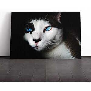 Big Box Art Blue Eyed Cat Canvas Print Gallery Wrapped 30mm Frame Wall Art 24x16 inches Ready to Hang Modern Animals Picture Living Room Bedroom Lounge Office Big Box Art Blue Eyed Cat Canvas Print Gallery Wrapped 30mm Frame Wall Art 24x16 inches Ready to Hang Modern Animals Picture Living Room Bedroom Lounge Office