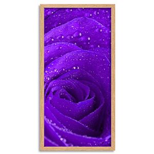 Wee Blue Coo Rose Flower Petals Purple Long Panel Framed Wall Art Print Wee Blue Coo Rose Flower Petals Purple Long Panel Framed Wall Art Print