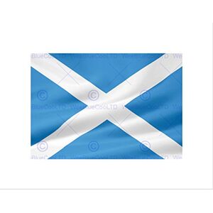 Wee Blue Coo Flag National Scotland Saltire St Andrew Cross Blue White Wall Art Print Wee Blue Coo Flag National Scotland Saltire St Andrew Cross Blue White Wall Art Print