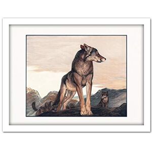 Fine Art Prints Detmold Akela Lone Wolf Jungle Book Painting Large Framed Art Print Poster Wall Decor 18x24 in Fine Art Prints Detmold Akela Lone Wolf Jungle Book Painting Large Framed Art Print Poster Wall Decor 18x24 in