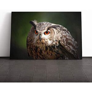 Big Box Art Owl Bird (4) Canvas Print Gallery Wrapped 30mm Frame Wall Art 20x14 inches Ready to Hang Modern Animals Picture Living Room Bedroom Lounge Office Big Box Art Owl Bird (4) Canvas Print Gallery Wrapped 30mm Frame Wall Art 20x14 inches Ready to Hang Modern Animals Picture Living Room Bedroom Lounge Office