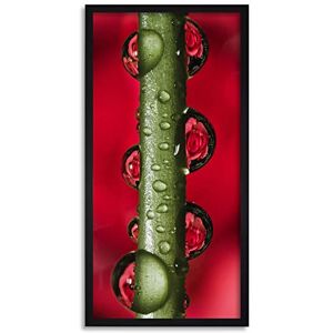 Wee Blue Coo Green Stem Dew Droplets Long Panel Framed Wall Art Print Wee Blue Coo Green Stem Dew Droplets Long Panel Framed Wall Art Print
