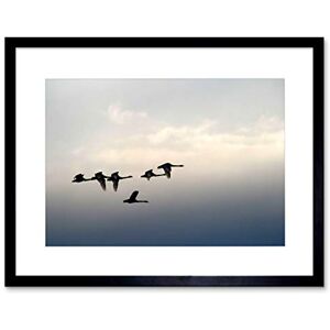 Wee Blue Coo PHOTO ANIMAL FLOCK SKEIN GAGGLE GEESE FLIGHT BIRD FRAMED ART PRINT B12X13006 Wee Blue Coo PHOTO ANIMAL FLOCK SKEIN GAGGLE GEESE FLIGHT BIRD FRAMED ART PRINT B12X13006