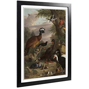 Big Box Art Framed Print of Melchior d'Hondecoeter Birds 2 Design Wall Art Picture Home Decor for Kitchen, Living, Dining Room, Bedroom, Hallway, Office, Black, A2 / 24.5x18 Inch / 62x45cm Big Box Art Framed Print of Melchior d'Hondecoeter Birds 2 Design Wall Art Picture Home Decor for Kitchen, Living, Dining Room, Bedroom, Hallway, Office, Black, A2 / 24.5x18 Inch / 62x45cm
