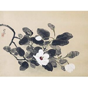 Artery8 Yamamura Koka Magnolia Branch Flower Painting Premium Wall Art Canvas Print 18X24 Inch Artery8 Yamamura Koka Magnolia Branch Flower Painting Premium Wall Art Canvas Print 18X24 Inch