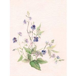 Wee Blue Coo Flower Veronica Watercolour Large Wall Art Print Canvas Premium Poster Wee Blue Coo Flower Veronica Watercolour Large Wall Art Print Canvas Premium Poster
