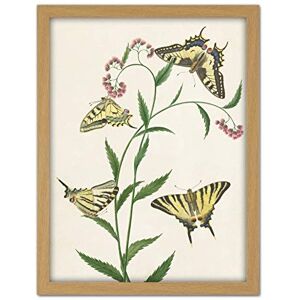 Artery8 Paul Gabriel Four Butterflies On Flowers Painting Artwork Framed Wall Art Print 18X24 Inch Artery8 Paul Gabriel Four Butterflies On Flowers Painting Artwork Framed Wall Art Print 18X24 Inch